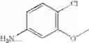 Fig. 145 - Phthalazine derivatives for treating inflammatory diseases