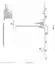 Fig. 09 - Compositions and Formulations of 9-Nitrocamptothecin Polymorphs and Methods of Use Therefor