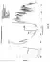 Fig. 16 - Compositions and Formulations of 9-Nitrocamptothecin Polymorphs and Methods of Use Therefor