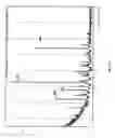 Fig. 22 - Compositions and Formulations of 9-Nitrocamptothecin Polymorphs and Methods of Use Therefor