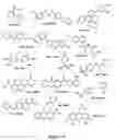 Fig. 02 - TGF-beta modulators and methods for using the same