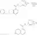 Fig. 53 - Bicycloheteroaryl compounds as P2X modulators and uses thereof