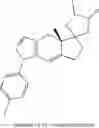 Fig. 241 - Selective spirocyclic glucocorticoid receptor modulators