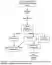 Fig. 03 - Foam and gel methods for the decontamination of metallic surfaces