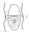 Fig. 03 - Device, system and method of panoramic multiple field of view imaging