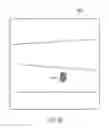 Fig. 08 - Device, system and method of panoramic multiple field of view imaging