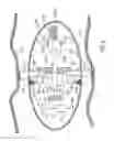Fig. 15 - Device, system and method of panoramic multiple field of view imaging