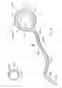 Fig. 19 - Illuminated surgical retractor