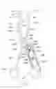 Fig. 27 - Illuminated surgical retractor