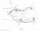 Fig. 02 - Surgical illumination system