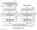 Fig. 01 - Determination of the clinical state of a subject