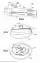 Fig. 19 - Blood pressure measuring apparatus