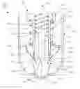 Fig. 01 - Dermal lance with nerve stimulus