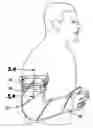 Fig. 01 - Appendage cover with inflatable ring and method of using same