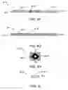 Fig. 26 - Inflatable spiral traction device, system, and method