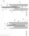 Fig. 32 - Disposable absorbent articles having multiple absorbent core components including replaceable components