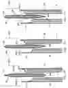 Fig. 34 - Disposable absorbent articles having multiple absorbent core components including replaceable components