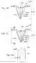 Fig. 52 - Disposable absorbent articles having multiple absorbent core components including replaceable components