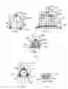 Fig. 05 - Methods and devices for delivering therapeutic agents into the prostate gland
