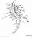 Fig. 09 - Electrosurgical device with discontinuous flow density