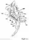 Fig. 10 - Electrosurgical device with discontinuous flow density