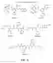 Fig. 07 - Use of computationally derived protein structures of genetic polymorphisms in pharmacogenomics for drug design and clinical applications