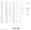 Fig. 12 - Use of computationally derived protein structures of genetic polymorphisms in pharmacogenomics for drug design and clinical applications