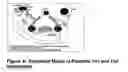 Fig. 15 - Systems and methods for obtaining, storing, processing and utilizing immunologic information of individuals and populations