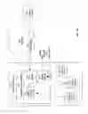 Fig. 03 - Payee aliasing