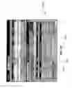 Fig. 20 - Payee aliasing
