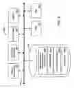 Fig. 07 - Pass-through interface queries to populate a class-based model