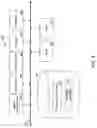 Fig. 04 - System to determine respondent-specific product attribute levels