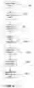 Fig. 15 - Rapid application development based on a data dependency path through a body of related data
