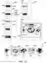 Fig. 14 - System and method for focused navigation using option type filters