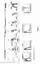 Fig. 03 - Transgenic mice expressing human CD20 and/or CD16