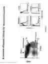 Fig. 04 - Transgenic mice expressing human CD20 and/or CD16