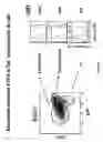 Fig. 05 - Transgenic mice expressing human CD20 and/or CD16