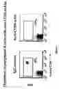 Fig. 09 - Transgenic mice expressing human CD20 and/or CD16