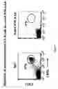 Fig. 10 - Transgenic mice expressing human CD20 and/or CD16
