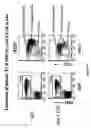 Fig. 11 - Transgenic mice expressing human CD20 and/or CD16