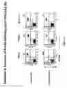 Fig. 14 - Transgenic mice expressing human CD20 and/or CD16