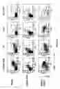 Fig. 17 - Transgenic mice expressing human CD20 and/or CD16