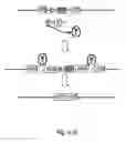 Fig. 04 - Selection method