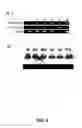 Fig. 06 - Gene silencing