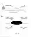 Fig. 11 - Gene silencing