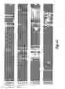 Fig. 07 - Compositions and method for modulation of plant cell division