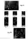 Fig. 09 - Compositions and method for modulation of plant cell division