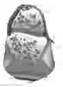 Fig. 02 - AMPHIBIOUS SELF-BAILING BACKPACK