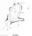 Fig. 09 - Selectively adjustable and removable glove and pad