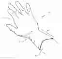 Fig. 01 - Gloves with enhanced anti-cuff-slip surface